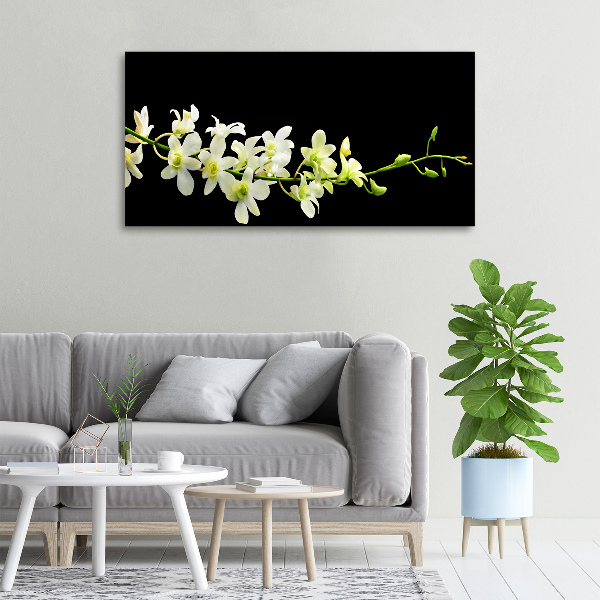 Fotobild Orchidee