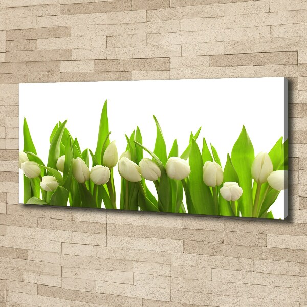 Bild auf leinwand Weiße Tulpen