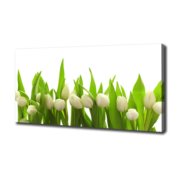 Bild auf leinwand Weiße Tulpen
