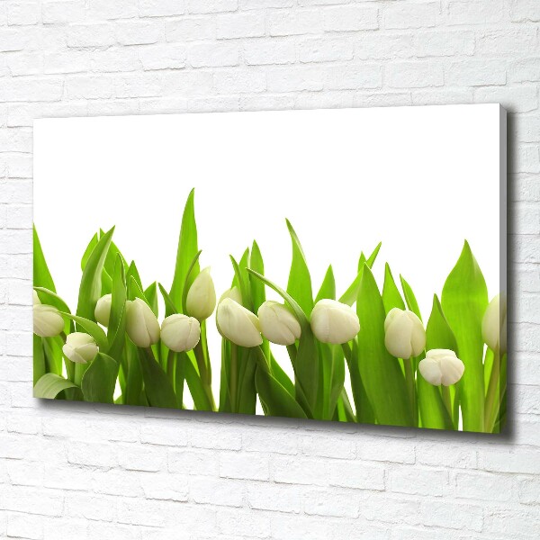 Bild auf leinwand Weiße Tulpen