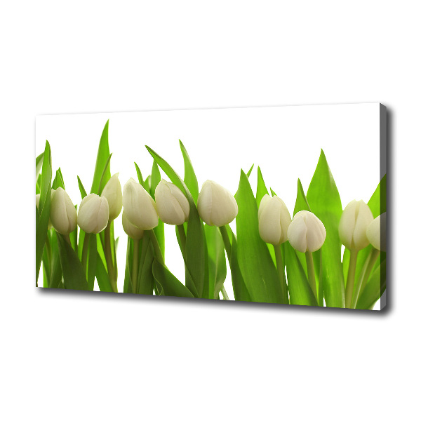 Wandbild Weiße Tulpen