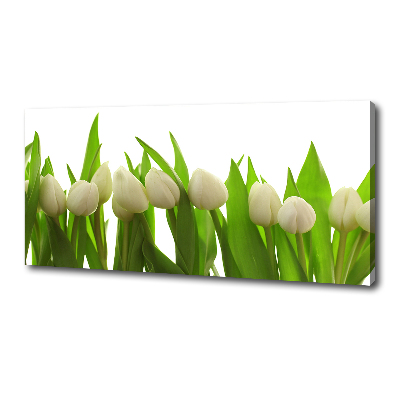 Wandbild Weiße Tulpen