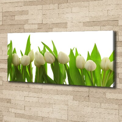 Wandbild Weiße Tulpen