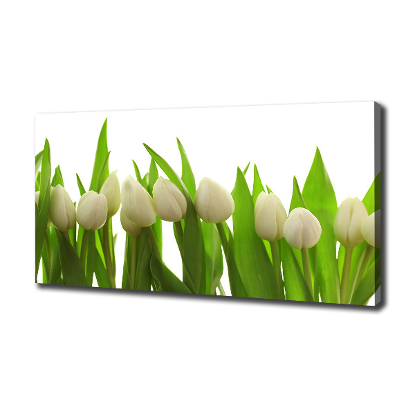 Wandbild Weiße Tulpen