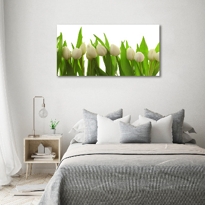 Wandbild Weiße Tulpen