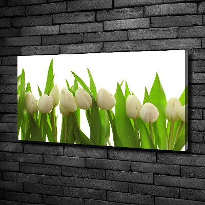 Wandbild Weiße Tulpen