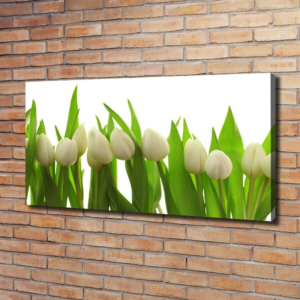 Wandbild Weiße Tulpen