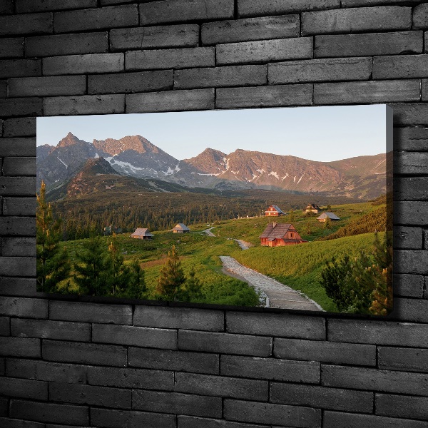 Bild auf leinwand Eine Lichtung in den Tatra-Bergen