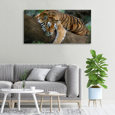 Wandbild Tiger auf einem Baum