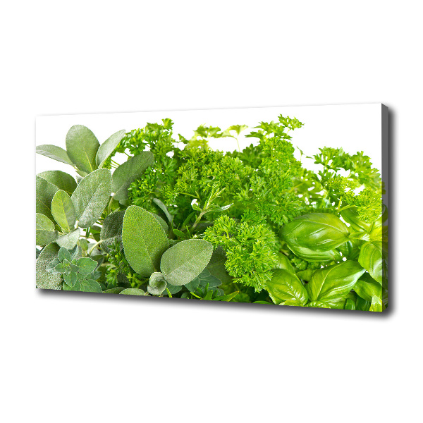Bild auf leinwand Kräuter
