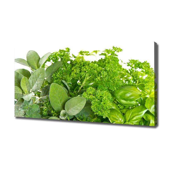 Bild auf leinwand Kräuter