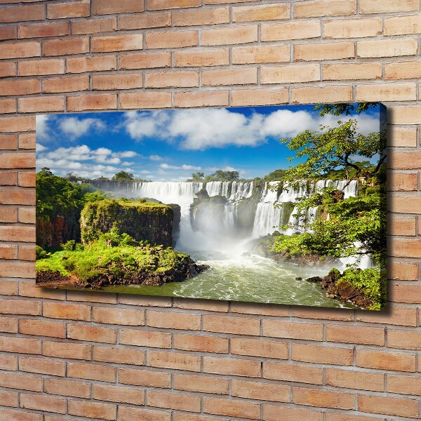 Fotobild Argentinischer Wasserfall