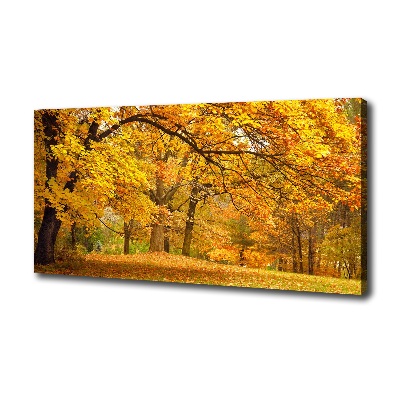 Bild auf leinwand Herbst im Park