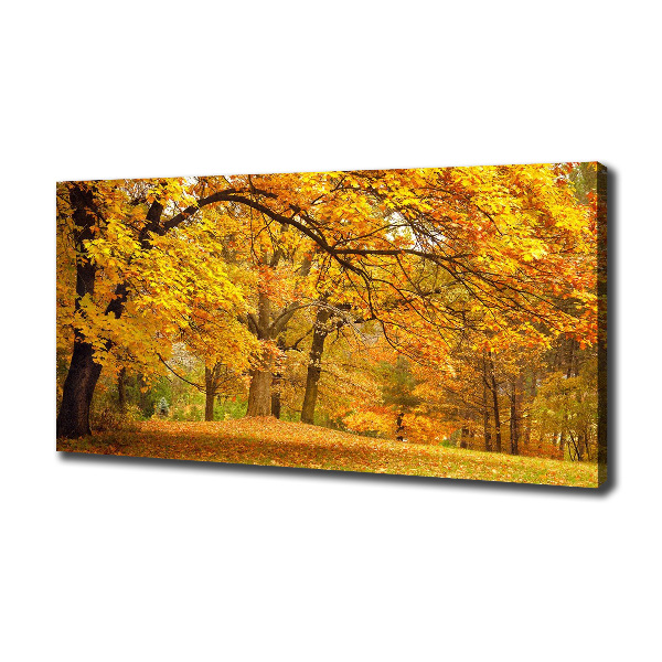 Bild auf leinwand Herbst im Park