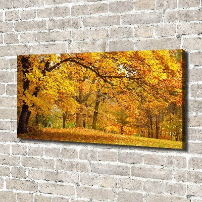Bild auf leinwand Herbst im Park