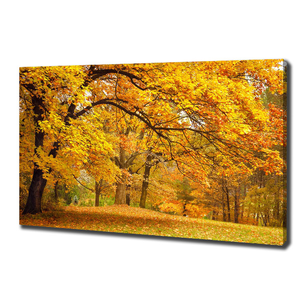 Bild auf leinwand Herbst im Park