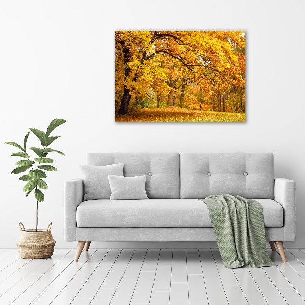 Bild auf leinwand Herbst im Park