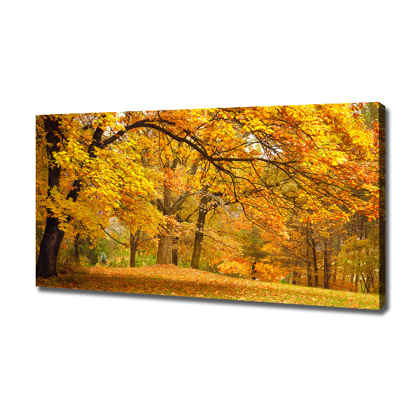 Bild auf leinwand Herbst im Park