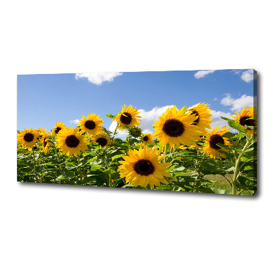 Bild auf leinwand Sonnenblumen