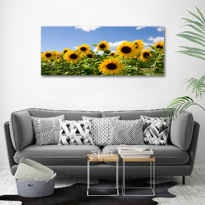 Bild auf leinwand Sonnenblumen
