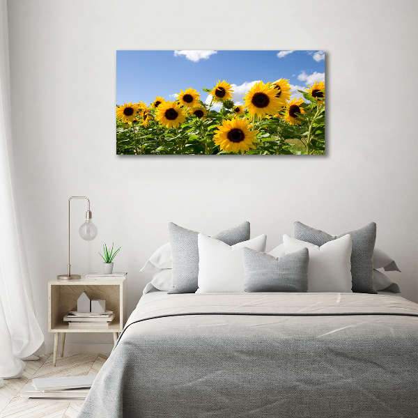 Bild auf leinwand Sonnenblumen