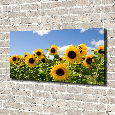 Bild auf leinwand Sonnenblumen