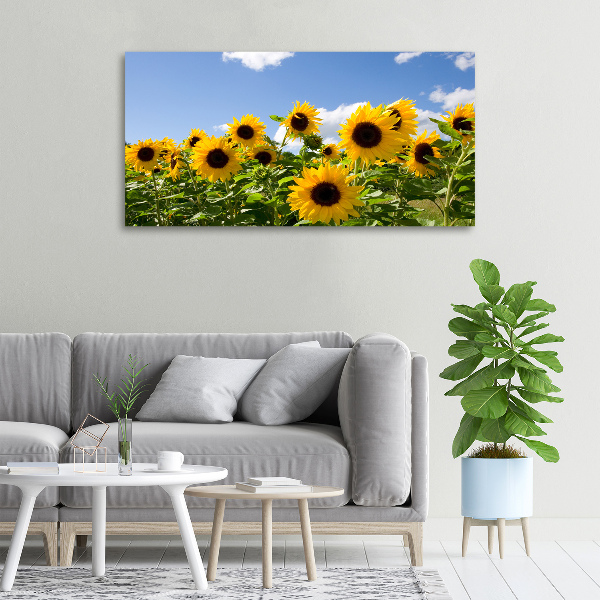 Bild auf leinwand Sonnenblumen