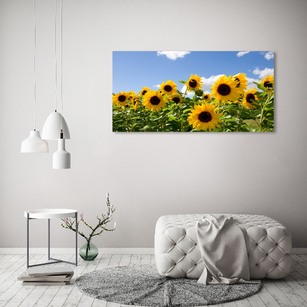 Bild auf leinwand Sonnenblumen
