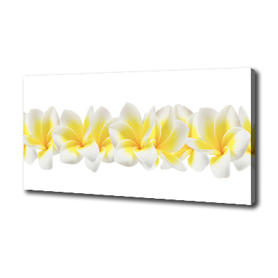 Wandbild Plumeria
