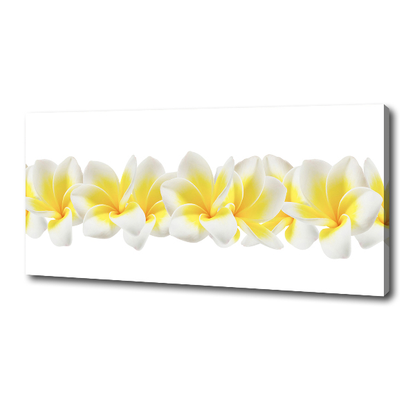 Wandbild Plumeria