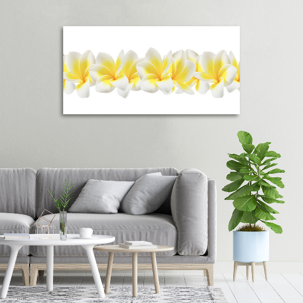 Wandbild Plumeria