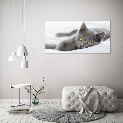 Bild auf leinwand Graue Katze