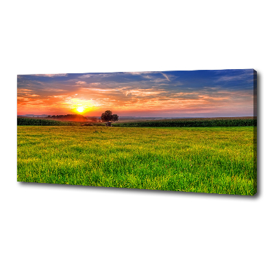 Wandbild Sonnenuntergangswiese