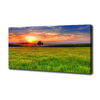 Wandbild Sonnenuntergangswiese