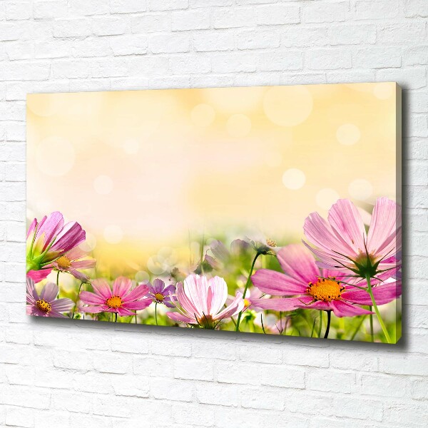 Wandbild Mohnblumen