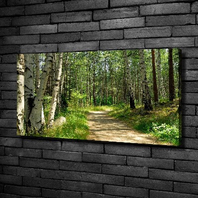 Wandbild Pfad im Wald