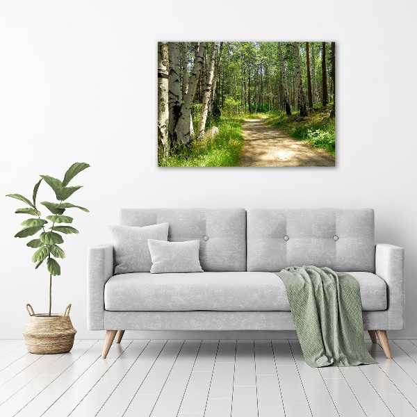 Wandbild Pfad im Wald
