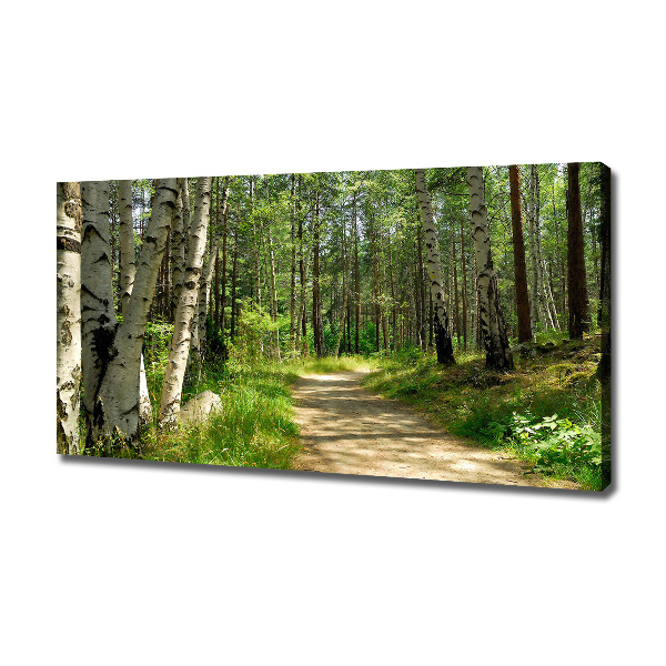 Wandbild Pfad im Wald