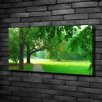 Wandbild Park im Herbst