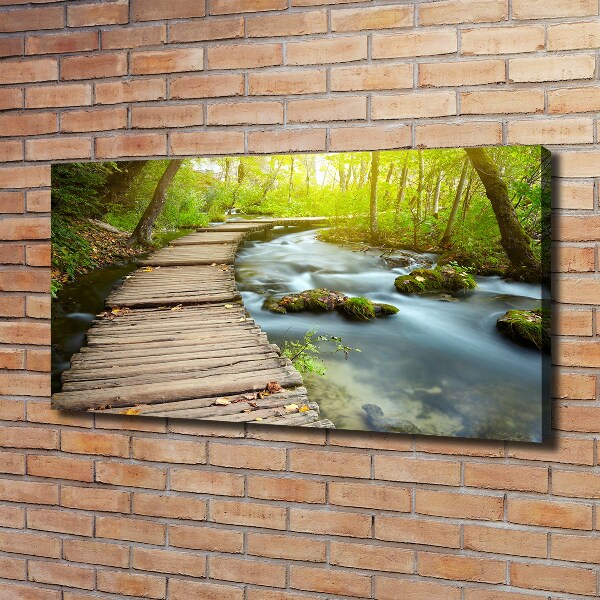Bild auf leinwand Weg am Fluss
