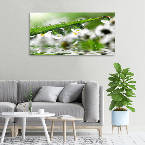 Wandbild Tropfen auf dem Gras