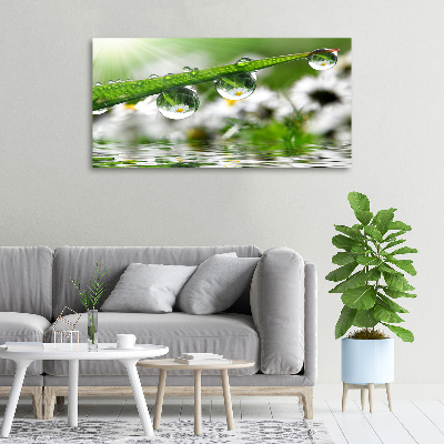 Wandbild Tropfen auf dem Gras