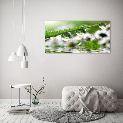 Wandbild Tropfen auf dem Gras