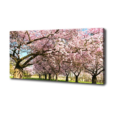 Bild auf leinwand Kirschbäume
