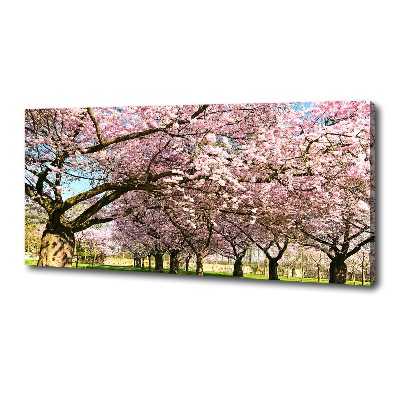 Bild auf leinwand Kirschbäume