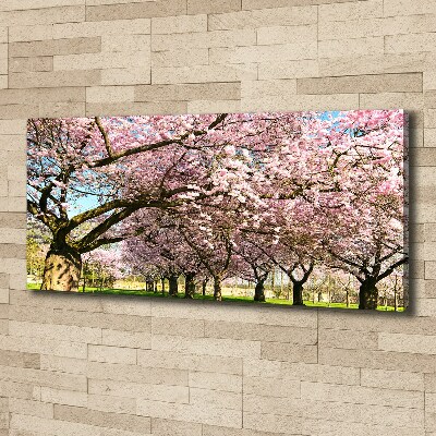 Bild auf leinwand Kirschbäume