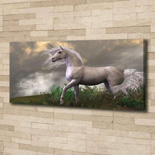 Bild auf leinwand Graues Einhorn