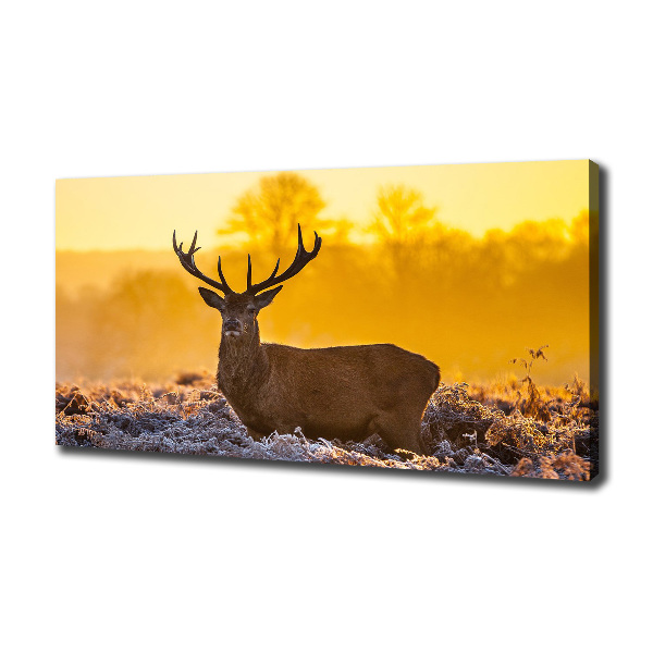 Wandbild Hirsch-Sonnenaufgang