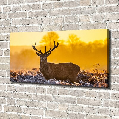 Wandbild Hirsch-Sonnenaufgang