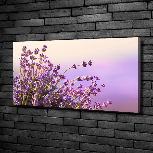 Wandbild Lavendel
